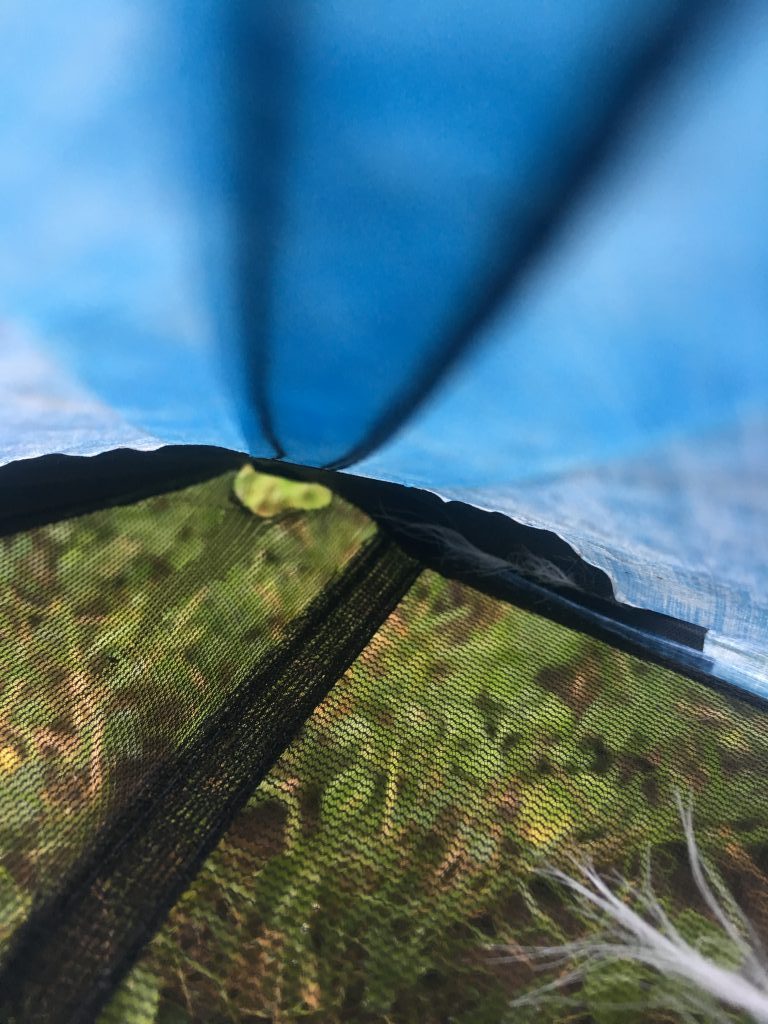 Review ZPacks Altaplex Zelt